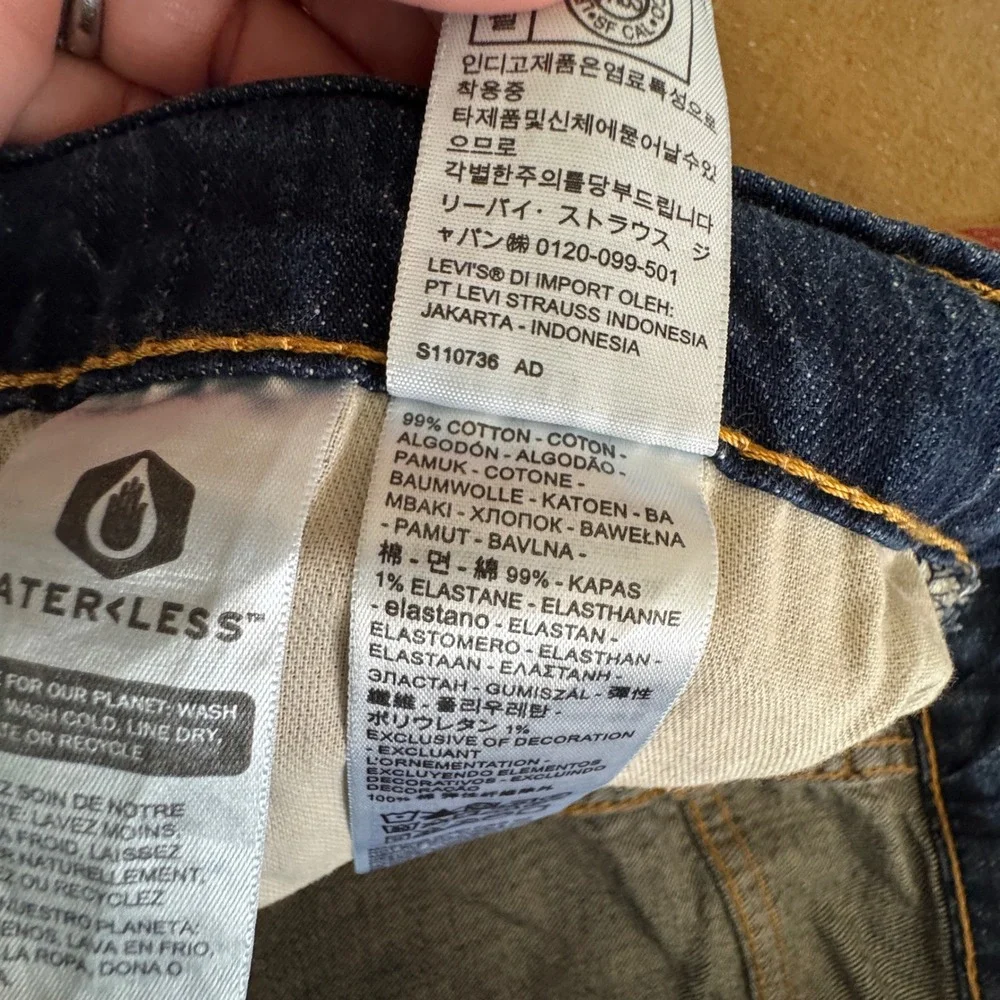 Levis levi 527